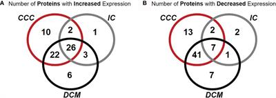 Impairment of Multiple Mitochondrial Energy Metabolism Pathways in the Heart of Chagas Disease Cardiomyopathy Patients